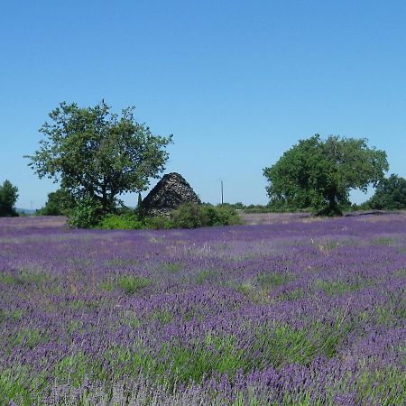 La Mordoree La Motte-d'Aigues エクステリア 写真