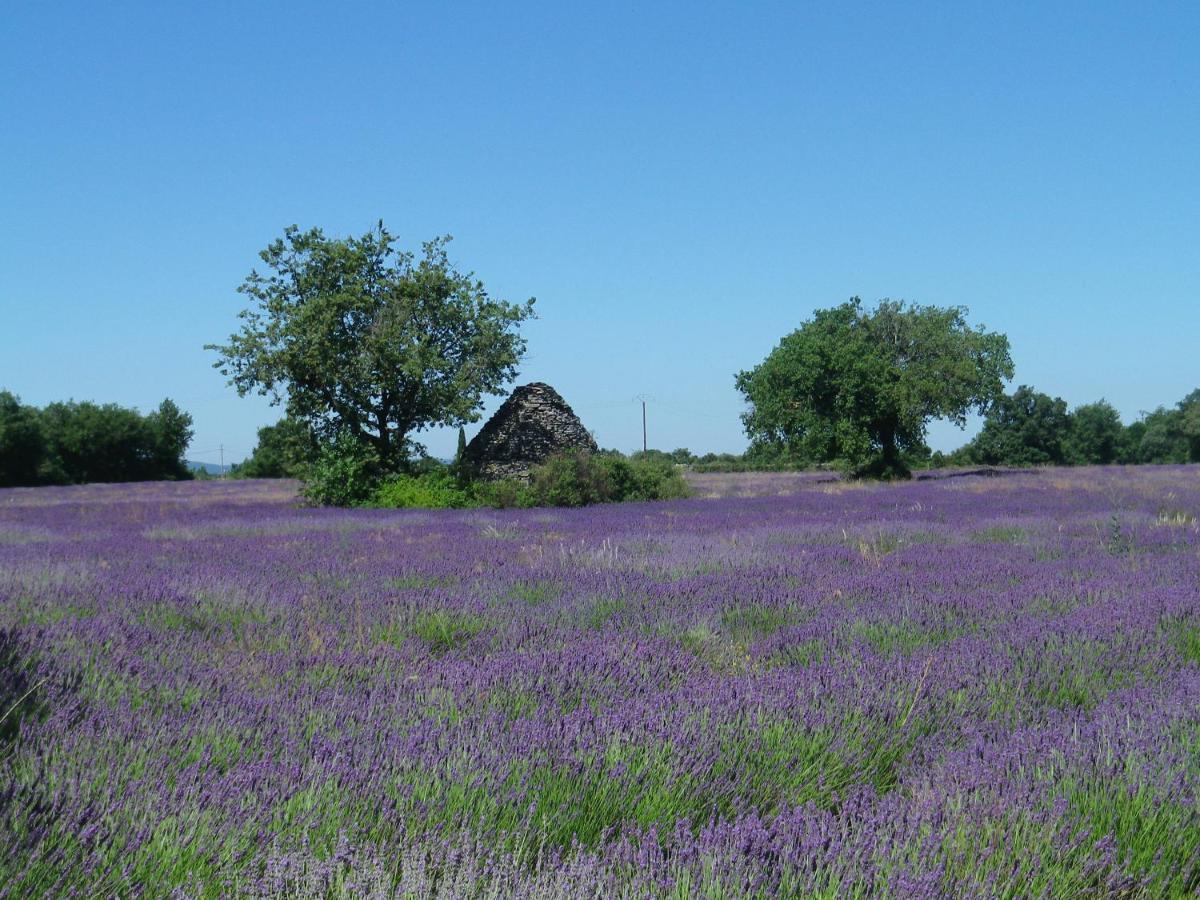 La Mordoree La Motte-d'Aigues エクステリア 写真