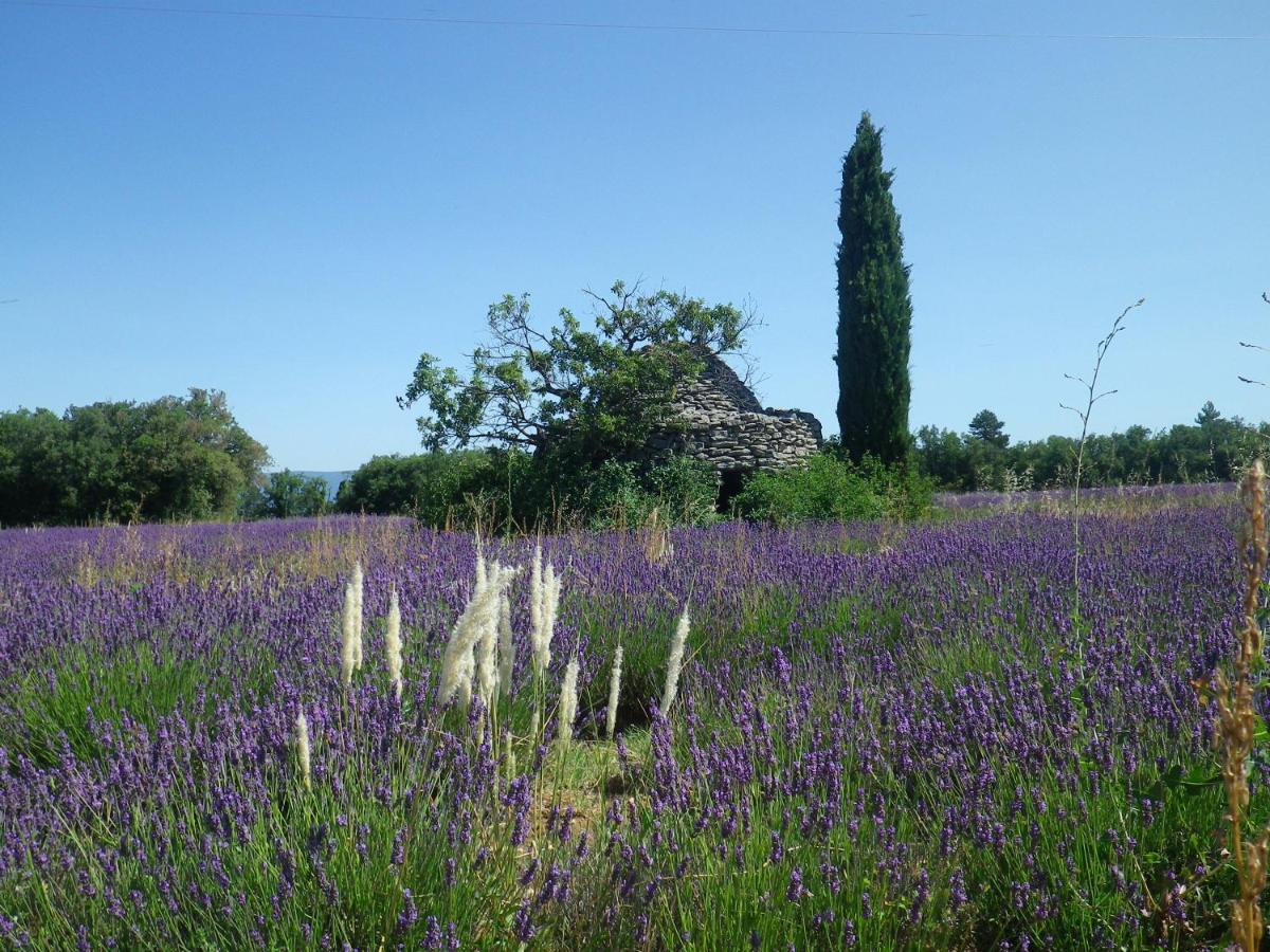 La Mordoree La Motte-d'Aigues エクステリア 写真