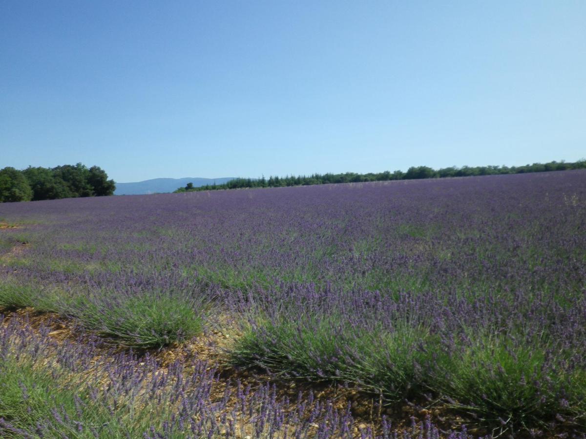 La Mordoree La Motte-d'Aigues エクステリア 写真