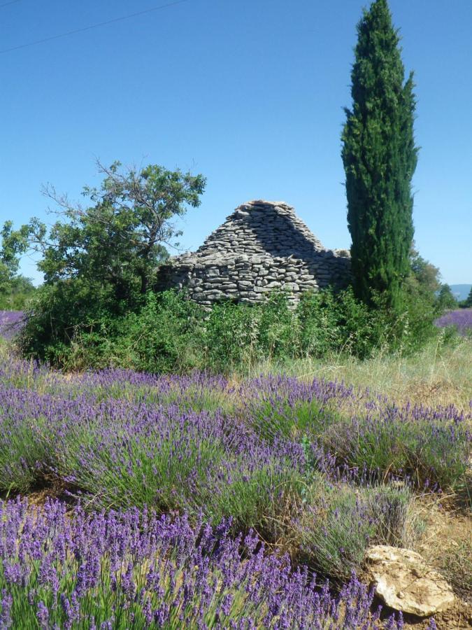 La Mordoree La Motte-d'Aigues エクステリア 写真