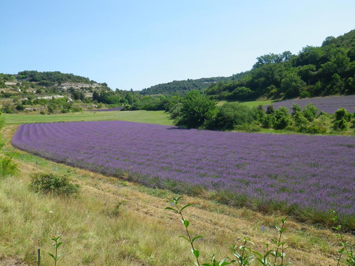 La Mordoree La Motte-d'Aigues エクステリア 写真