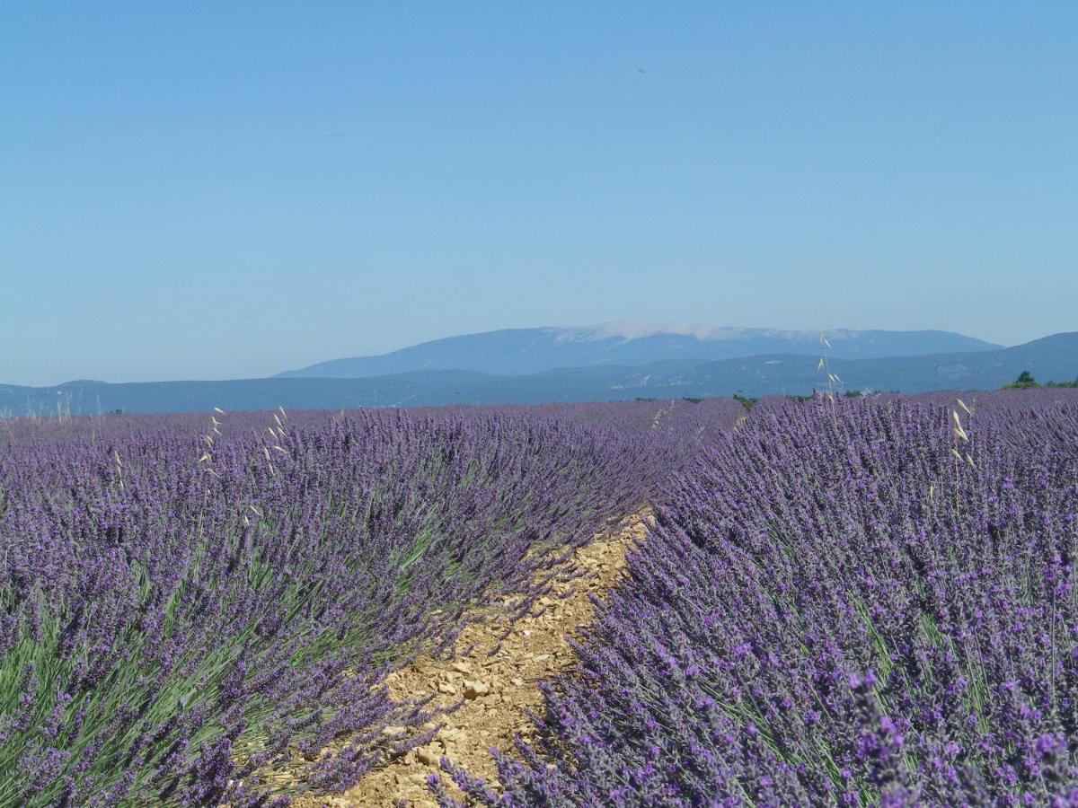 La Mordoree La Motte-d'Aigues エクステリア 写真
